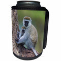 3dRose Danita Delimont - Primates - Africa. Tanzania, Ngorongoro Crater. Vervet monkey female and juvenile - Can Cooler Bottle Wrap (cc_276581)