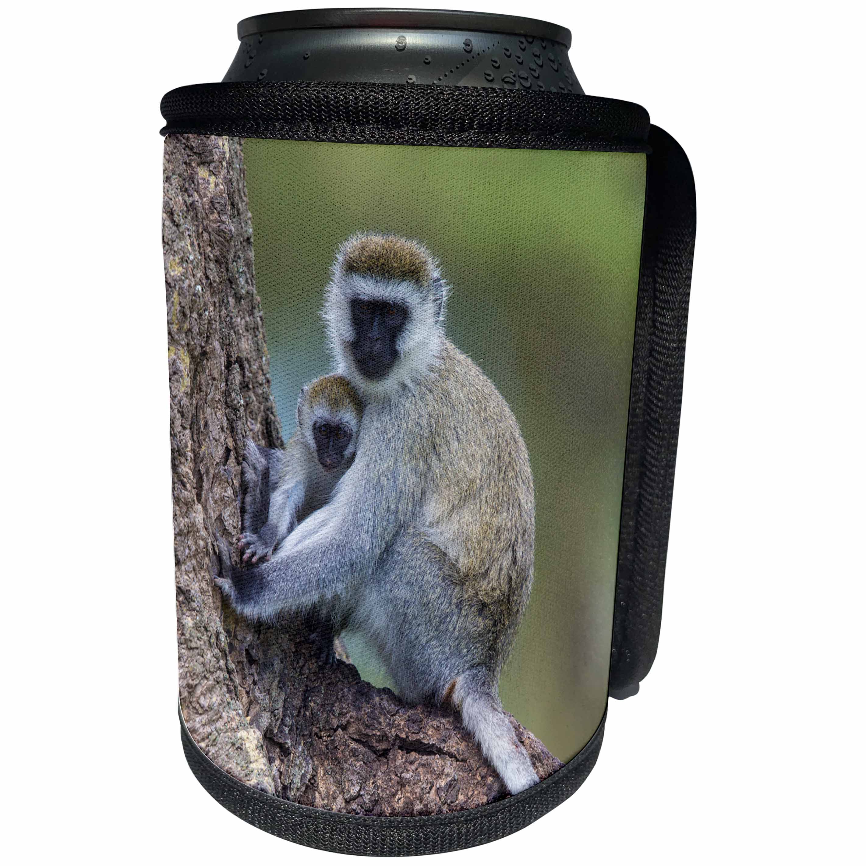 3dRose Danita Delimont - Primates - Africa. Tanzania, Ngorongoro Crater. Vervet monkey female and juvenile - Can Cooler Bottle Wrap (cc_276581)