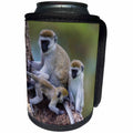 3dRose Danita Delimont - Baby animals - Tanzania. Vervet monkey with two babies at Ngorongoro Crater. - Can Cooler Bottle Wrap (cc_276582)
