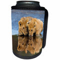 3dRose Danita Delimont - Baby animals - Africa, Ndutu. Serengeti NP. Tanzania. African lions cubs drinking. - Can Cooler Bottle Wrap (cc_276585)