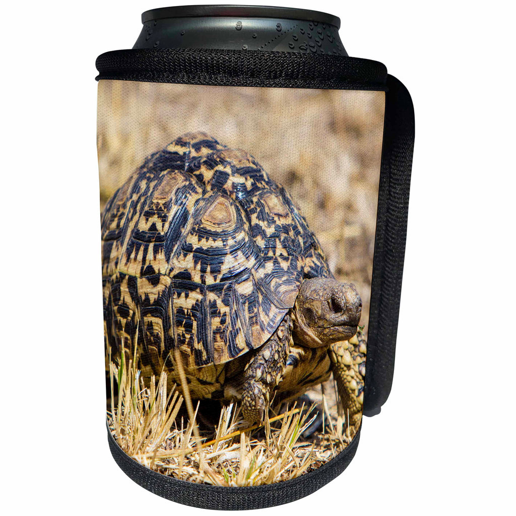 3dRose Danita Delimont - Reptiles - Africa. Tanzania. Serengeti NP. Leopard tortoise - Can Cooler Bottle Wrap (cc_276588)