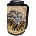 3dRose Danita Delimont - Reptiles - Africa. Tanzania. Serengeti NP. Leopard tortoise - Can Cooler Bottle Wrap (cc_276588)