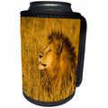 3dRose Danita Delimont - Big Cats - Africa. Tanzania. African lion male, Panthera Leo, Serengeti NP. - Can Cooler Bottle Wrap (cc_276590)