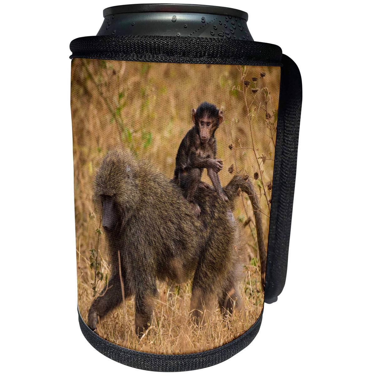 3dRose Danita Delimont - Primates - Africa. Tanzania. Olive baboon female with baby at Serengeti NP. - Can Cooler Bottle Wrap (cc_276594)