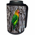 3dRose Danita Delimont - Parrots - Africa. Tanzania. Fischers lovebird in Serengeti NP. - Can Cooler Bottle Wrap (cc_276595)
