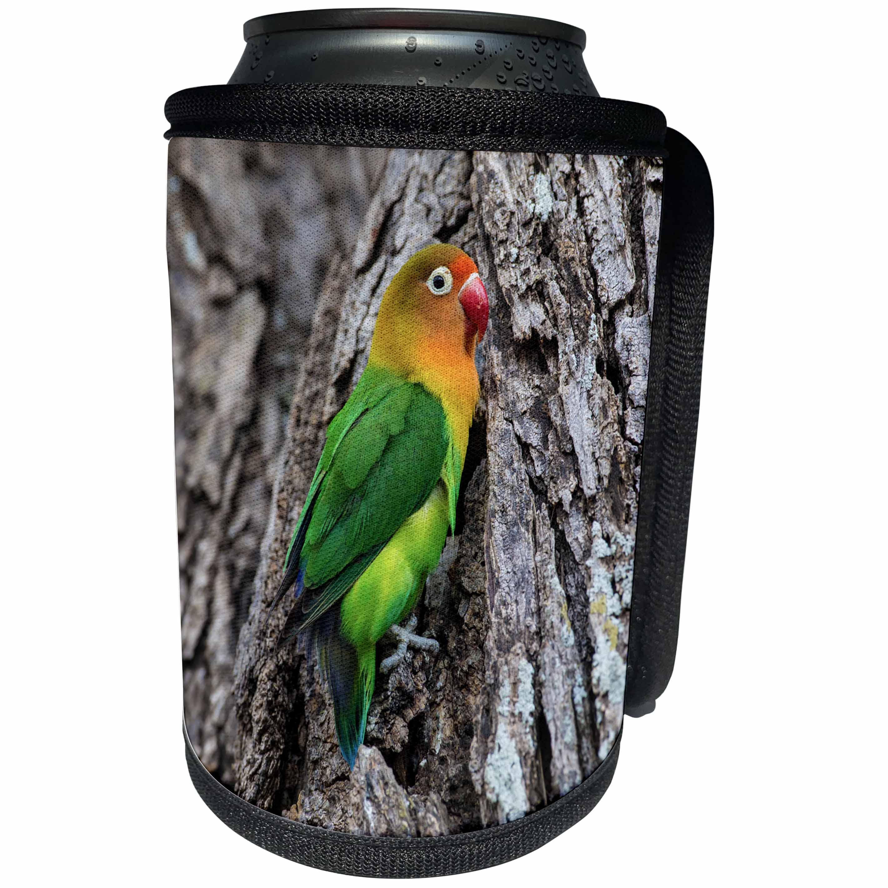3dRose Danita Delimont - Parrots - Africa. Tanzania. Fischers lovebird in Serengeti NP. - Can Cooler Bottle Wrap (cc_276595)