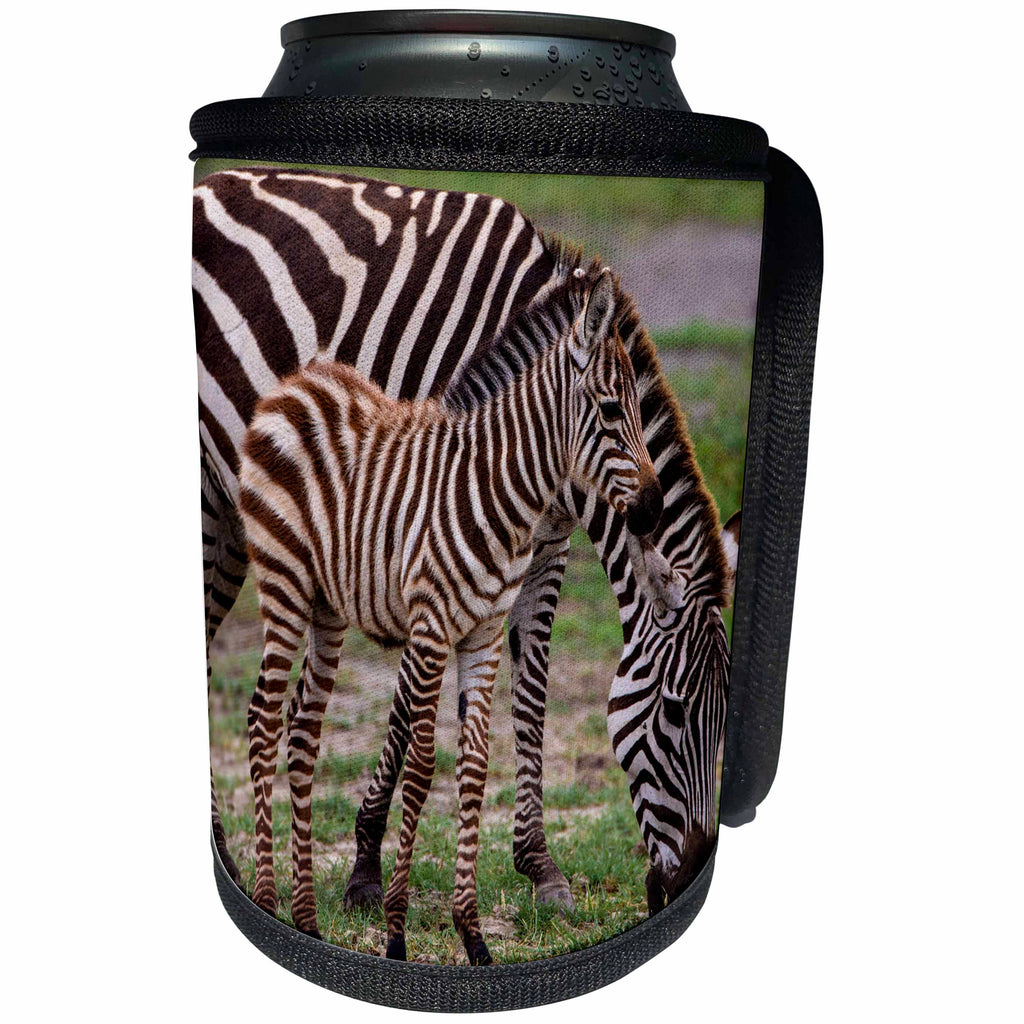 3dRose Danita Delimont - Babu animals - Africa. Tanzania. Female Zebra, Equus quagga, with colt, Serengeti NP. - Can Cooler Bottle Wrap (cc_276600)