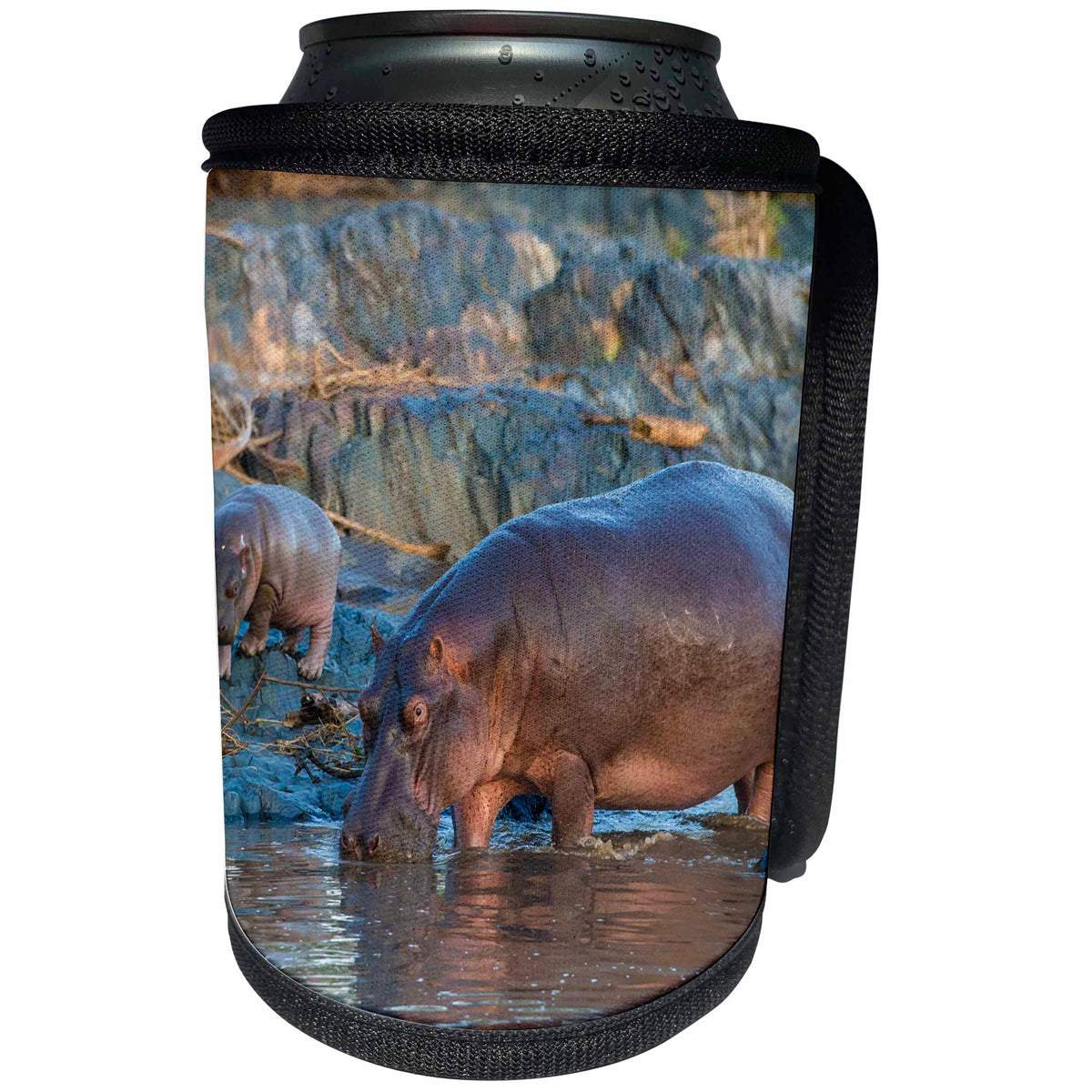 3dRose Danita Delimont - Hippos - Africa. Tanzania, Serengeti NP. Hippopotamus and baby grazing. - Can Cooler Bottle Wrap (cc_276602)