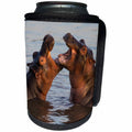 3dRose Africa. Tanzania, Serengeti NP. Hippopotamus fighting... - Can Cooler Bottle Wrap (cc_276603)