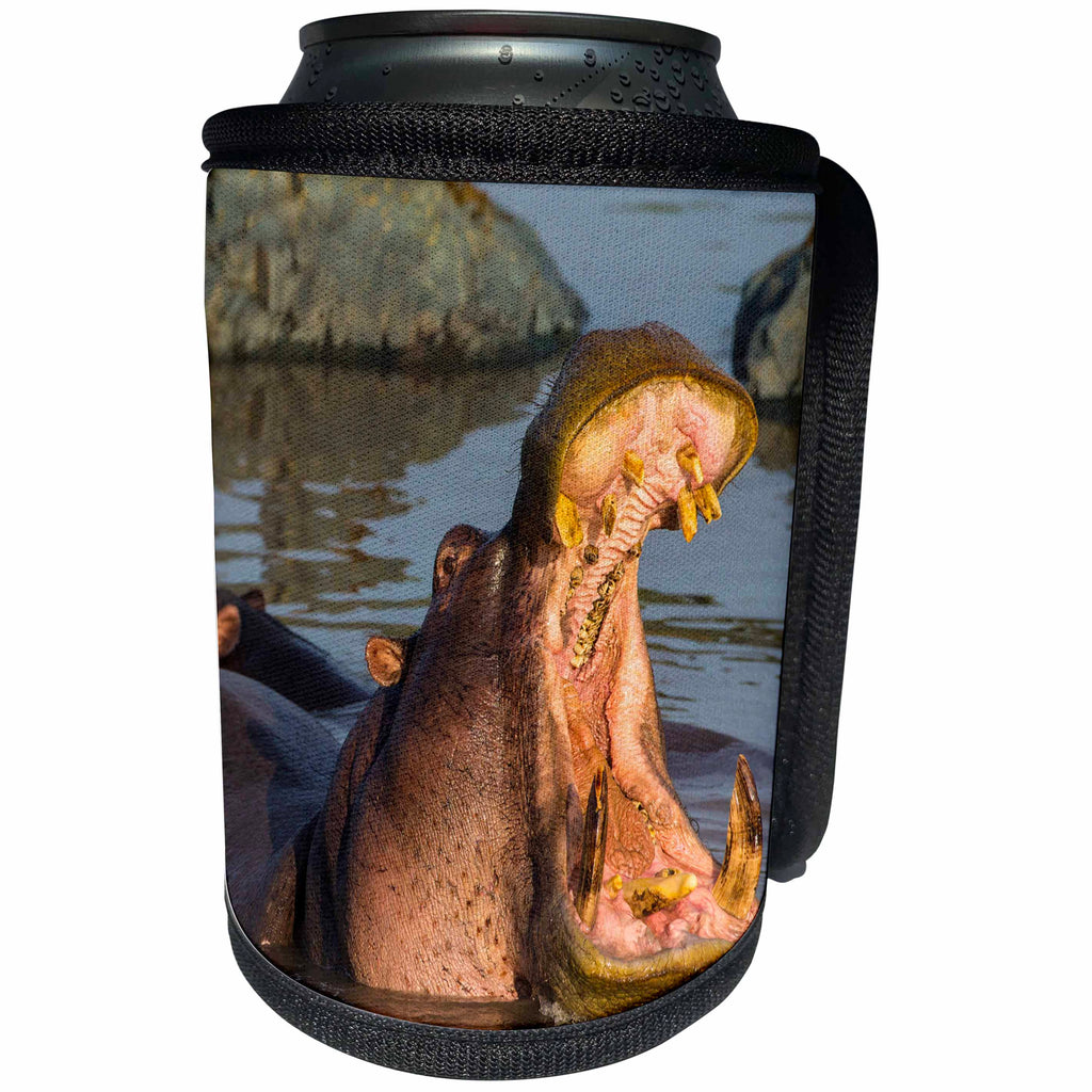 3dRose Danita Delimont - Hippos - Africa. Tanzania. Hippopotamus yawning in Serengeti NP. - Can Cooler Bottle Wrap (cc_276604)