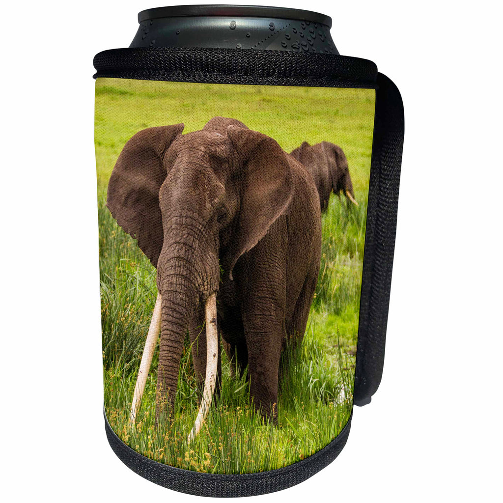 3dRose Danita Delimont - Elephants - Africa. Tanzania. African elephants in Ngorongoro Conservation Area. - Can Cooler Bottle Wrap (cc_276607)