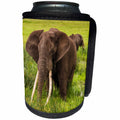 3dRose Danita Delimont - Elephants - Africa. Tanzania. African elephants in Ngorongoro Conservation Area. - Can Cooler Bottle Wrap (cc_276607)
