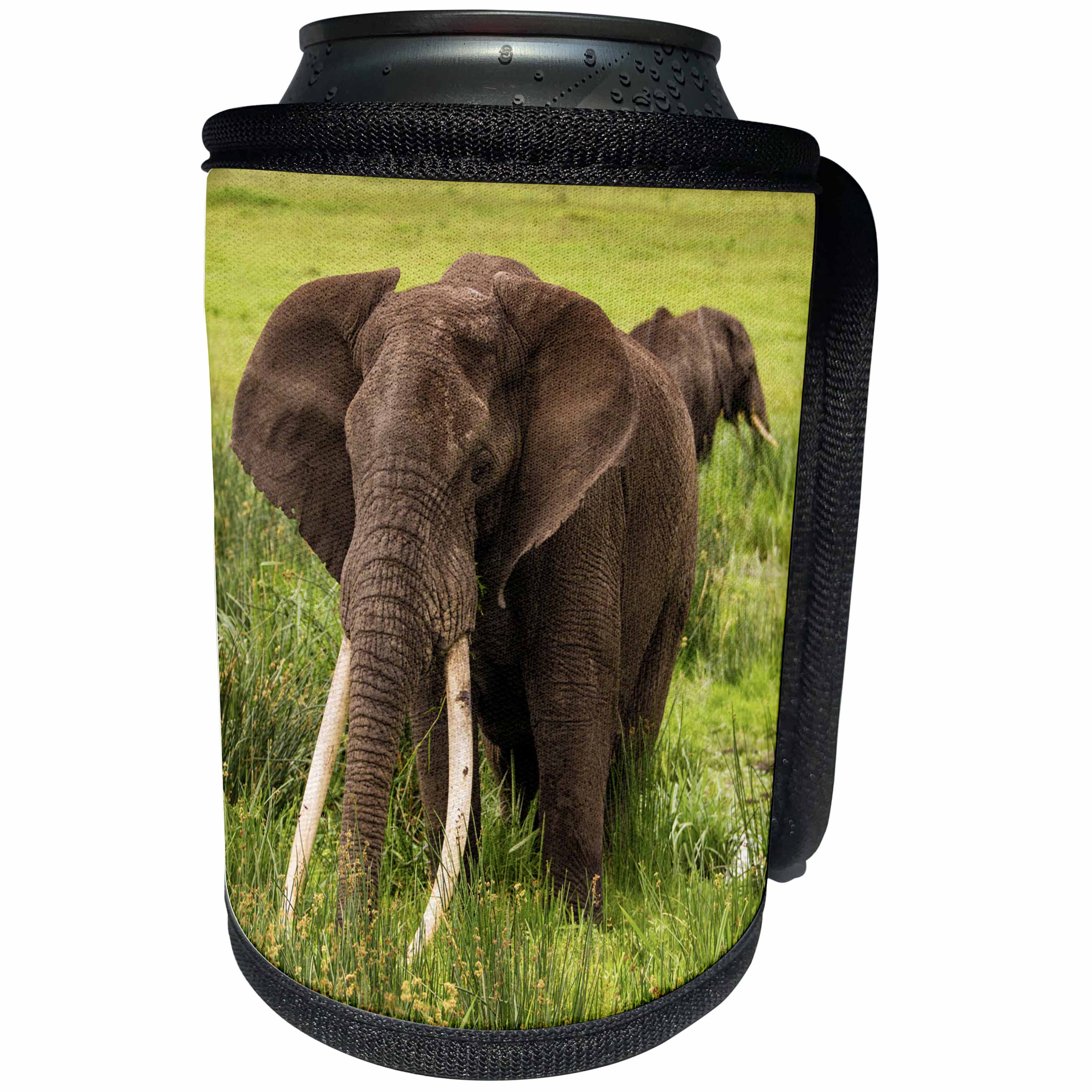 3dRose Danita Delimont - Elephants - Africa. Tanzania. African elephants in Ngorongoro Conservation Area. - Can Cooler Bottle Wrap (cc_276607)