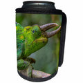 3dRose Danita Delimont - Chameleons - Jacksons three horned chameleon, Bwindi Impenetrable NP, Uganda - Can Cooler Bottle Wrap (cc_276628)