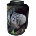 3dRose Danita Delimont - Primates - Africa, Uganda, Kibale Forest NP. Chimpanzee sleeping. - Can Cooler Bottle Wrap (cc_276634)
