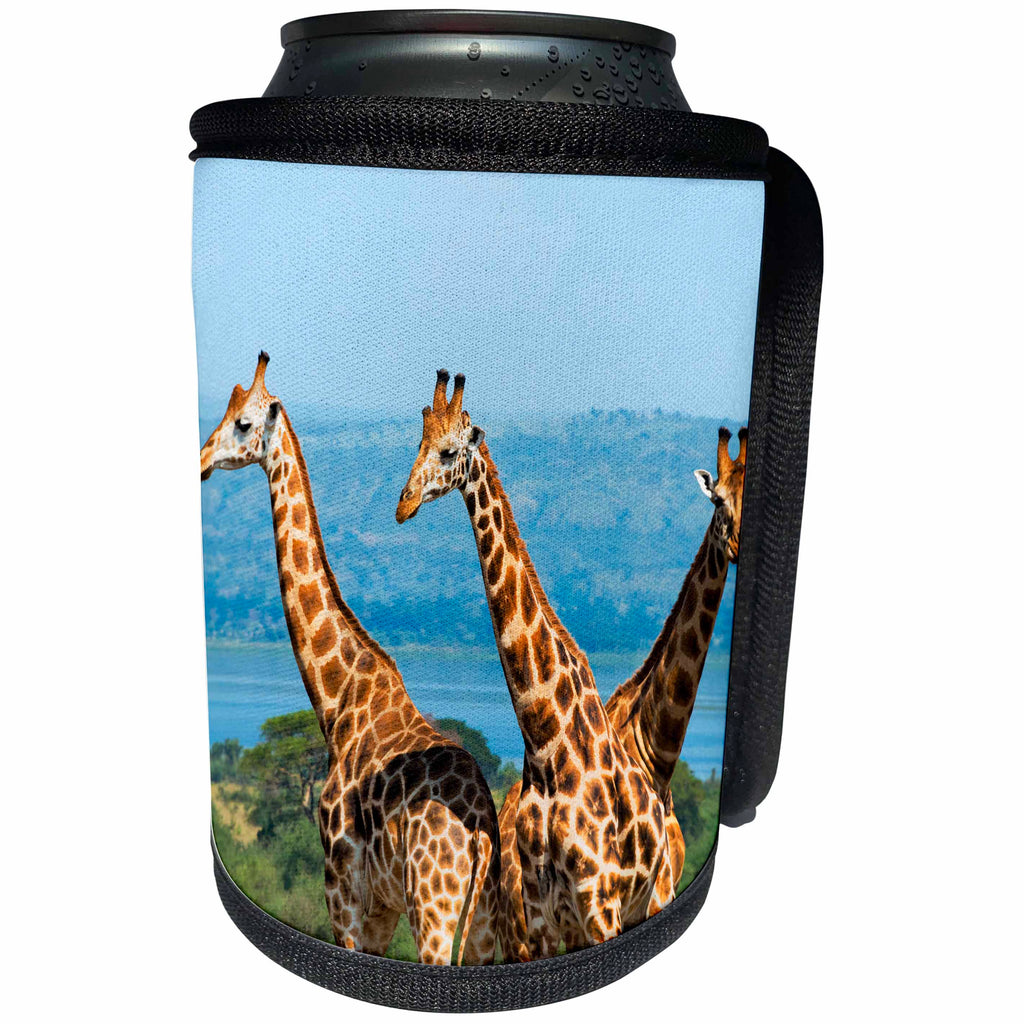 3dRose Danita Delimont - Giraffes - Giraffes on the savanna, Murchison Falls National park, Uganda - Can Cooler Bottle Wrap (cc_276647)