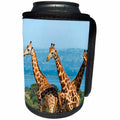 3dRose Danita Delimont - Giraffes - Giraffes on the savanna, Murchison Falls National park, Uganda - Can Cooler Bottle Wrap (cc_276647)