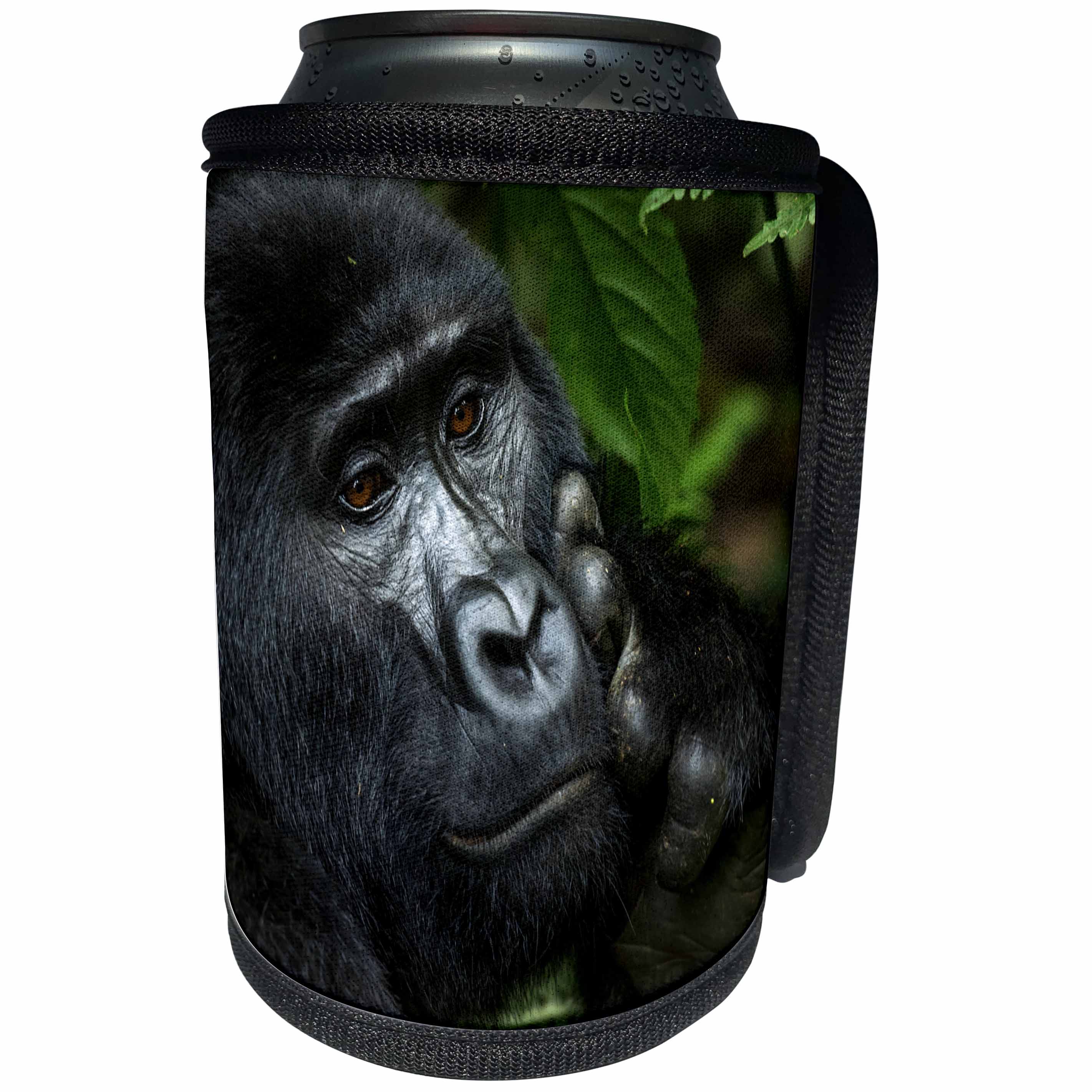 3dRose Danita Delimont - Primates - Contemplative Mountain gorilla. Bwindi Impenetrable Forest. Uganda - Can Cooler Bottle Wrap (cc_276651)