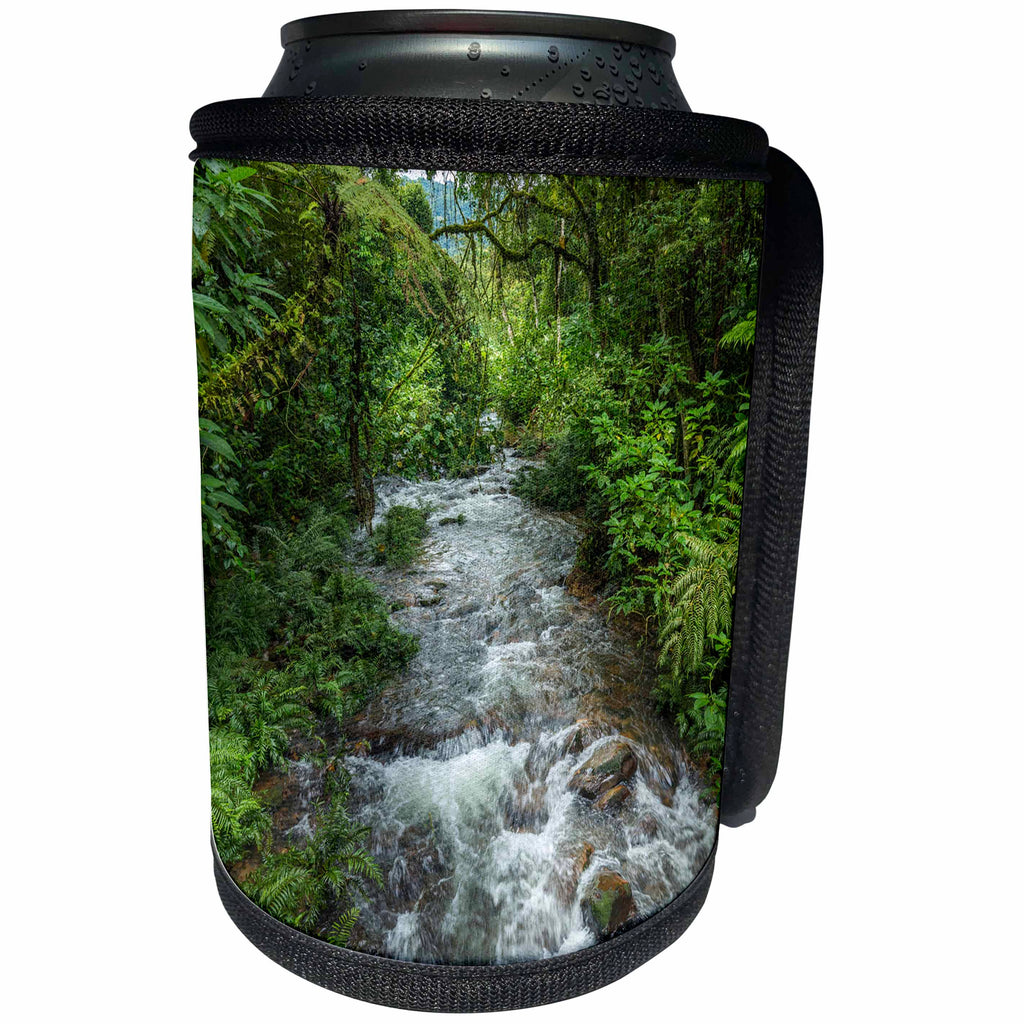 3dRose Danita Delimont - Rivers - Forest interior. Bwindi Impenetrable Forest. Uganda - Can Cooler Bottle Wrap (cc_276653)
