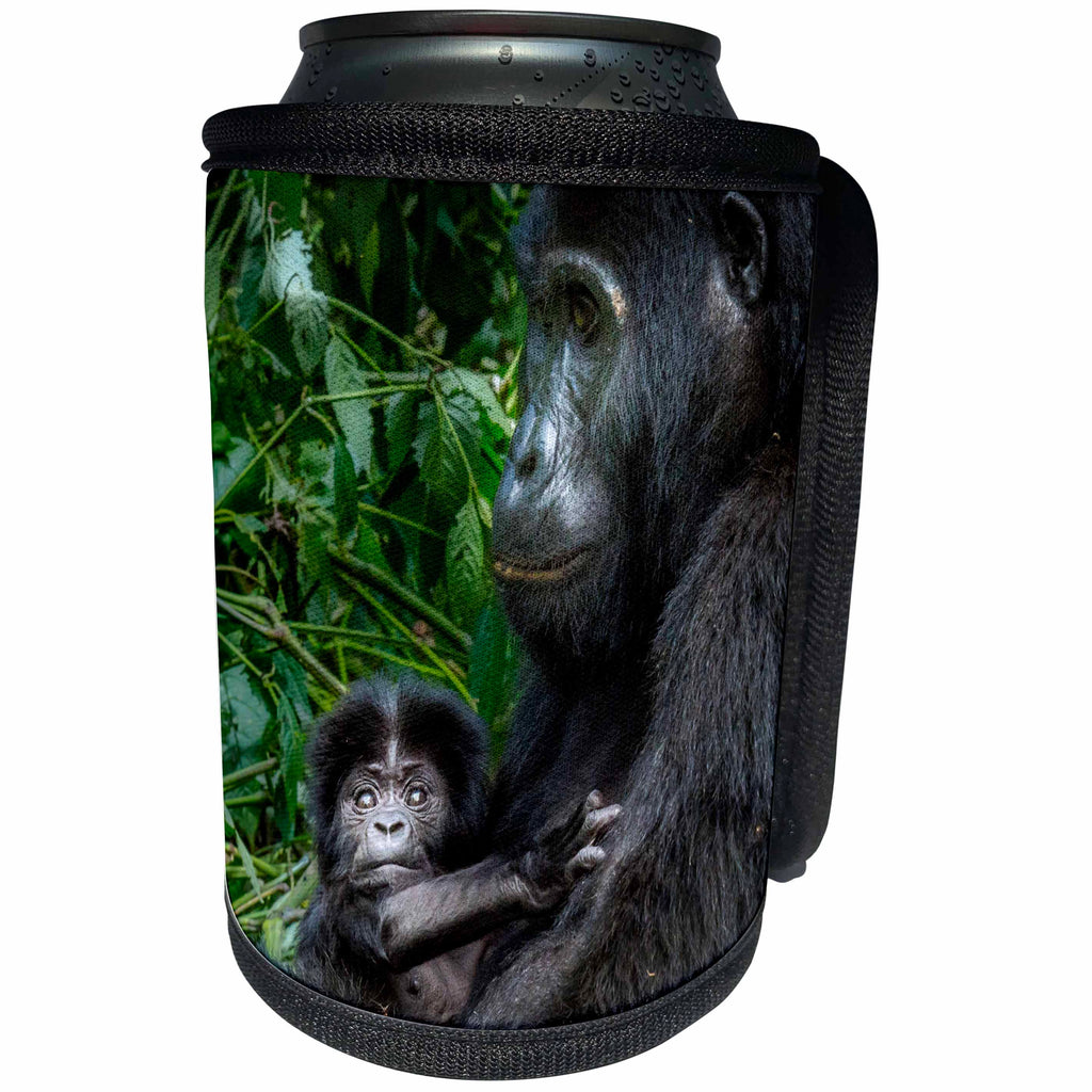 3dRose Danita Delimont - Baby animals - Mountain gorilla with baby. Bwindi Impenetrable Forest. Uganda - Can Cooler Bottle Wrap (cc_276655)
