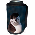 3dRose Danita Delimont - Penguins - Antarctica, penguin, headshot - Can Cooler Bottle Wrap (cc_276673)