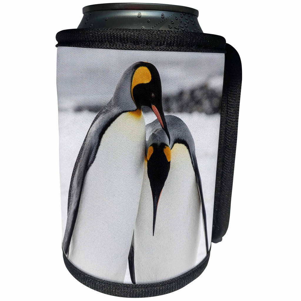 3dRose Danita Delimont - Penguins - South Georgia Island, Salisbury, Plain, King Penguins - Can Cooler Bottle Wrap (cc_276678)