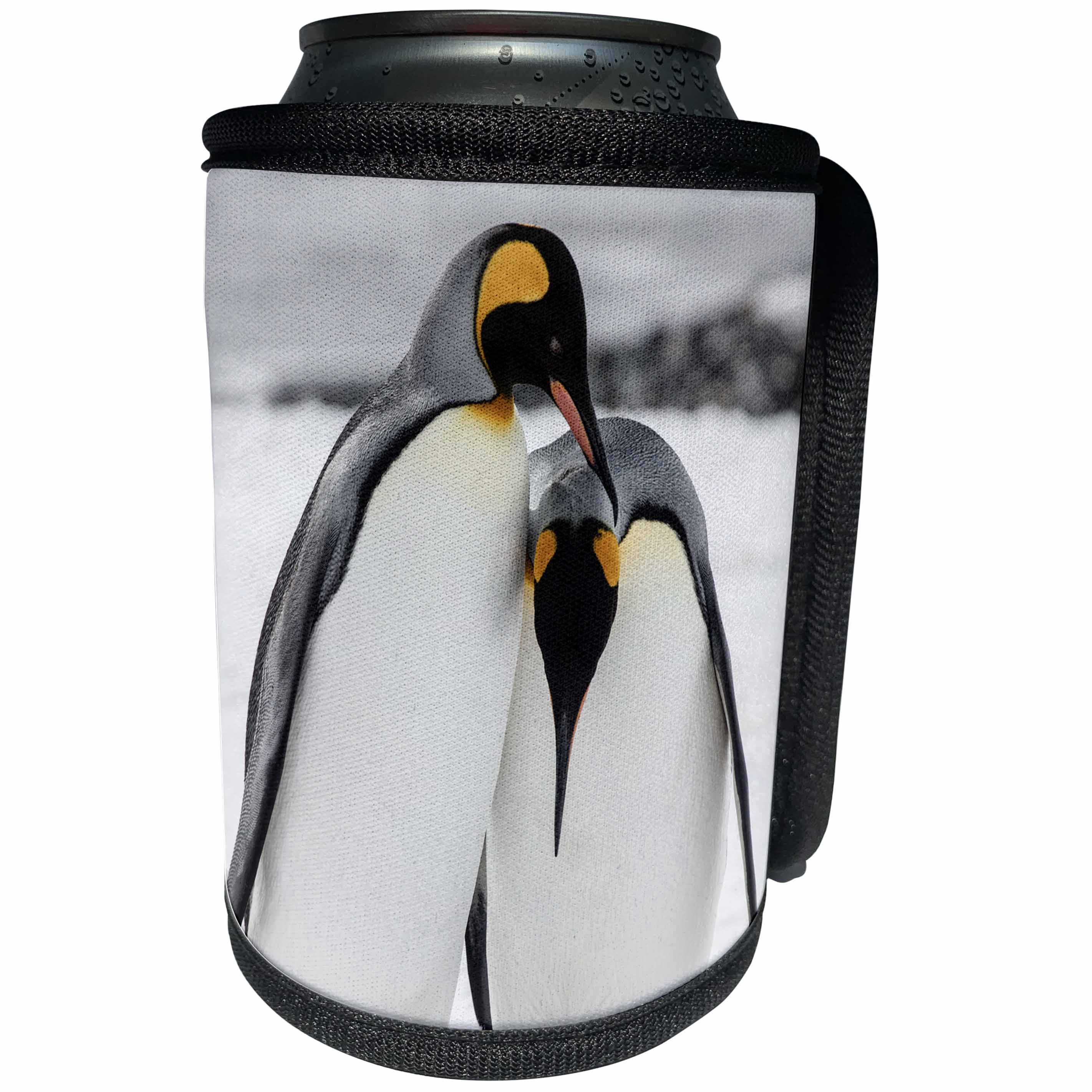 3dRose Danita Delimont - Penguins - South Georgia Island, Salisbury, Plain, King Penguins - Can Cooler Bottle Wrap (cc_276678)
