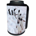 3dRose Danita Delimont - Penguins - Antarctica, Cuverville Island, Gentoo Penguins walking their trail - Can Cooler Bottle Wrap (cc_276681)