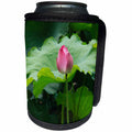 3dRose Danita Delimont - Flowers - Lotus pond in Humble Administrators Garden, Suzhou, China - Can Cooler Bottle Wrap (cc_276730)