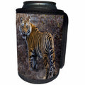 3dRose Danita Delimont - Big Cats - Tiger, Bandhavgarh National Park, India - Can Cooler Bottle Wrap (cc_276772)