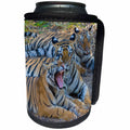 3dRose Danita Delimont - Big Cats - Bengal tigers, Bandhavgarh National Park, India - Can Cooler Bottle Wrap (cc_276775)