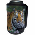3dRose Danita Delimont - Big Cats - India, Kanha Tiger Reserve. Bengal tiger enjoys the cool waterhole. - Can Cooler Bottle Wrap (cc_276781)