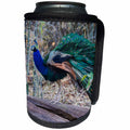 3dRose Danita Delimont - Birds - India. Peacock strutting in the Bandhavgarh Tiger Reserve. - Can Cooler Bottle Wrap (cc_276800)