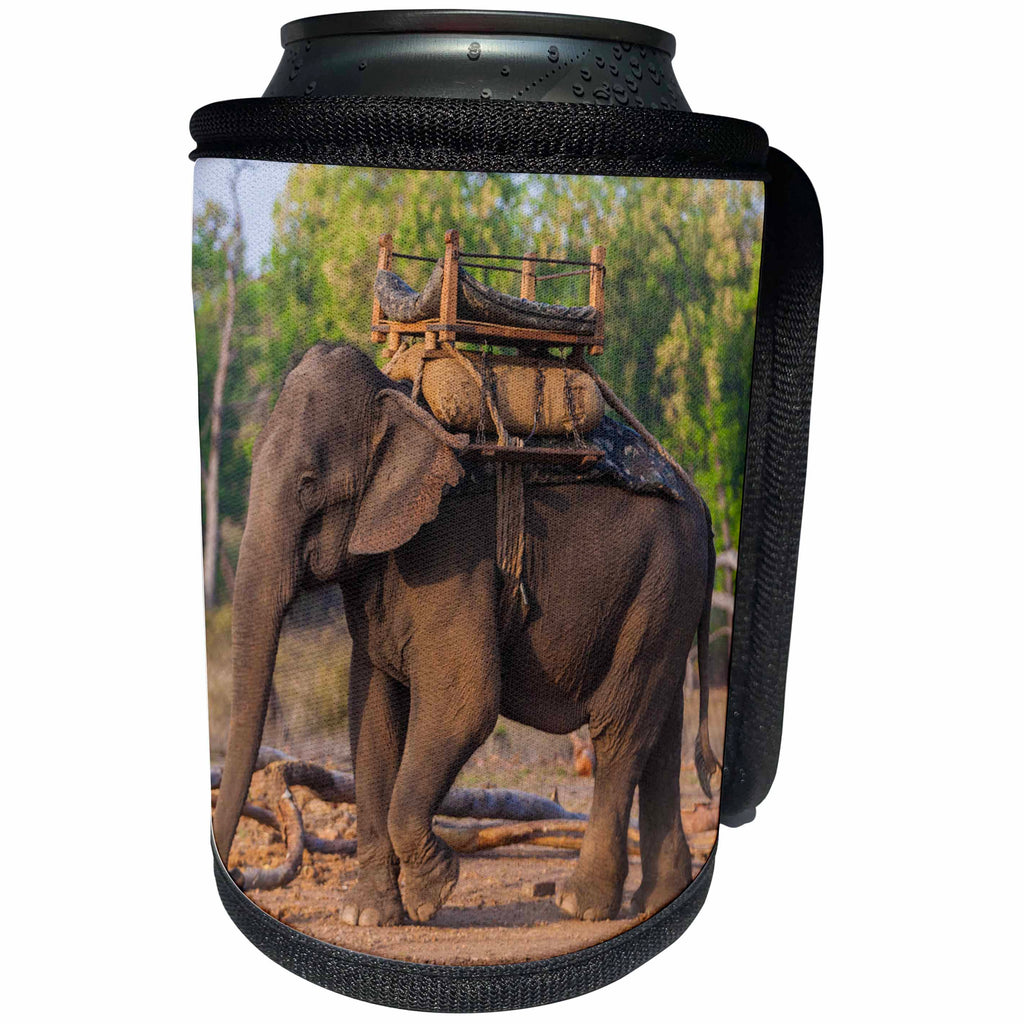 3dRose Danita Delimont - Elephants - India. Asian elephant used in safaris at Bandhavgarh Tiger Reserve. - Can Cooler Bottle Wrap (cc_276801)