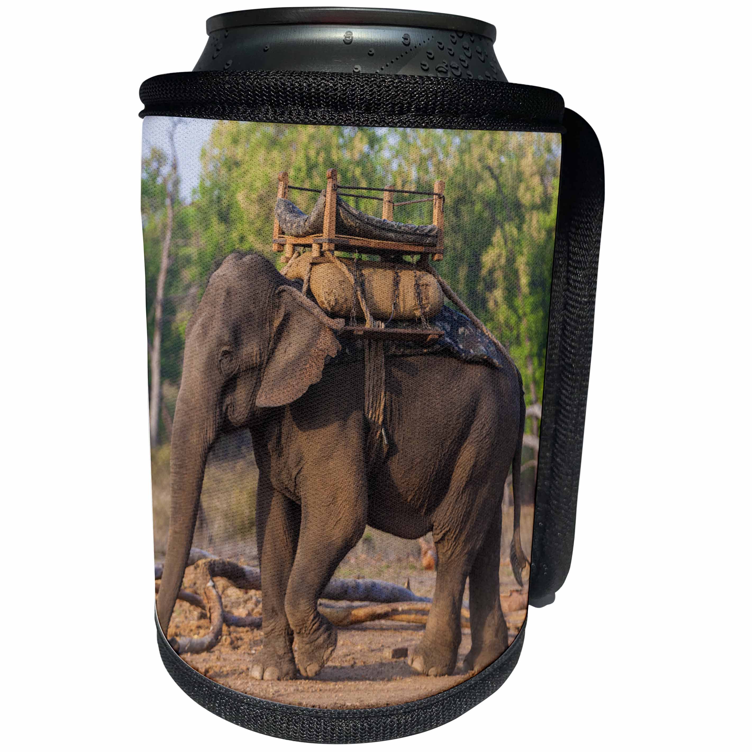 3dRose Danita Delimont - Elephants - India. Asian elephant used in safaris at Bandhavgarh Tiger Reserve. - Can Cooler Bottle Wrap (cc_276801)