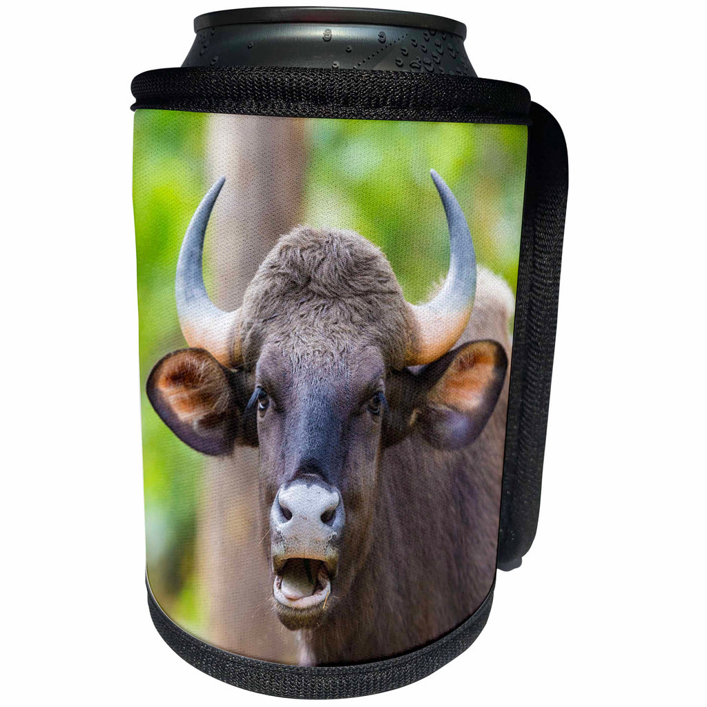 3dRose Danita Delimont - Cattle - India. Gaur, Kanha tiger reserve, Indian wild bison portrait. - Can Cooler Bottle Wrap (cc_276818)
