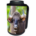 3dRose Danita Delimont - Cattle - India. Gaur, Kanha tiger reserve, Indian wild bison portrait. - Can Cooler Bottle Wrap (cc_276818)