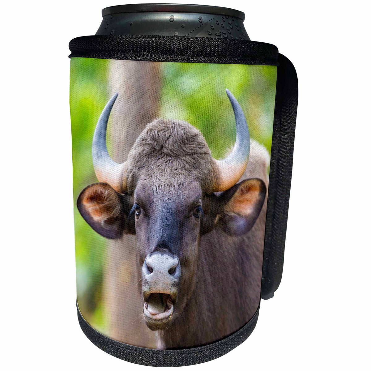 3dRose Danita Delimont - Cattle - India. Gaur, Kanha tiger reserve, Indian wild bison portrait. - Can Cooler Bottle Wrap (cc_276818)