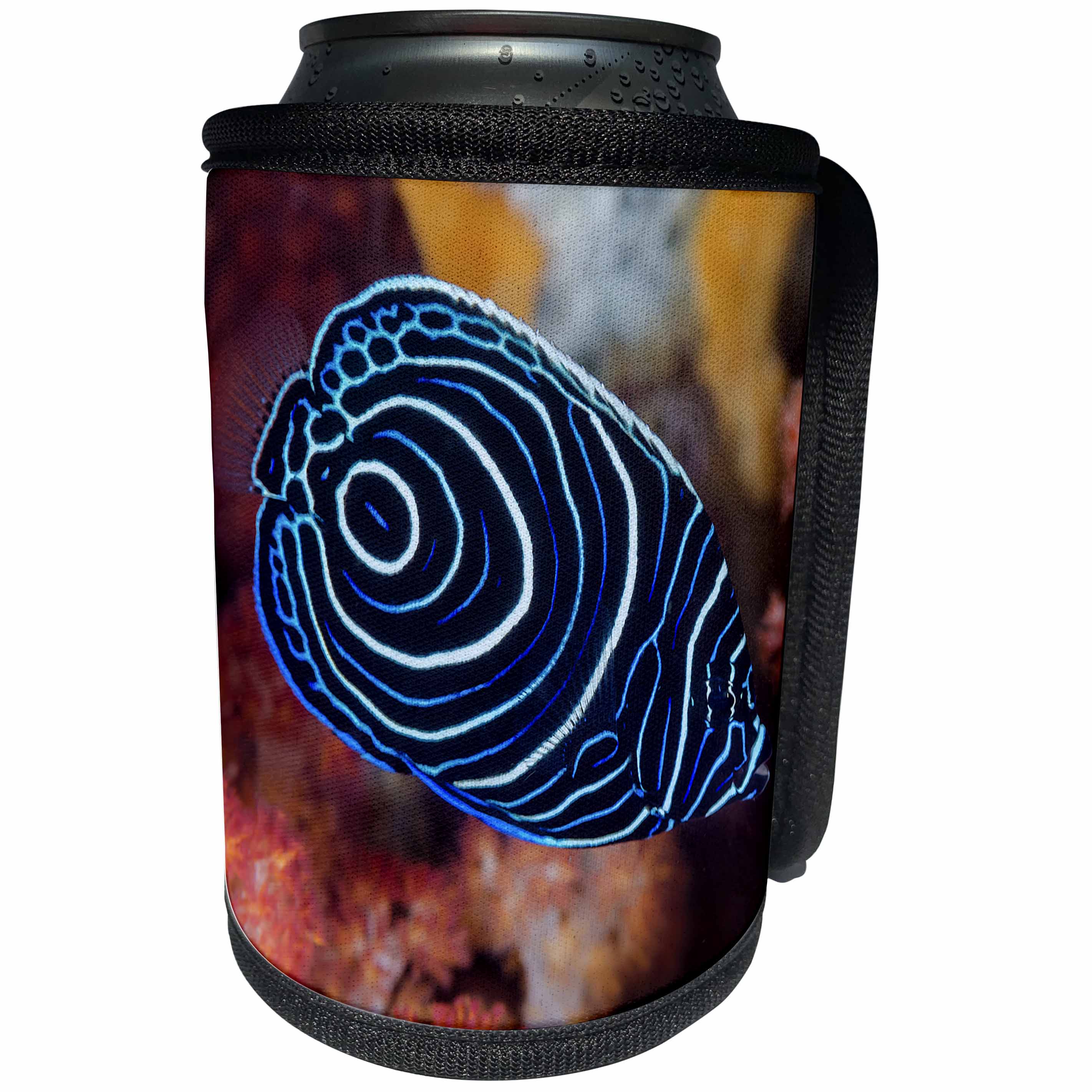 3dRose Danita Delimont - Fish - Indonesia, West Papua, Raja Ampat. Close up of emperor angelfish - Can Cooler Bottle Wrap (cc_276819)