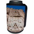3dRose Danita Delimont - Ruins - Iran, Shiraz, Naqsh E Rostam, Sassanian Stone Reliefs in Mountainside - Can Cooler Bottle Wrap (cc_276829)