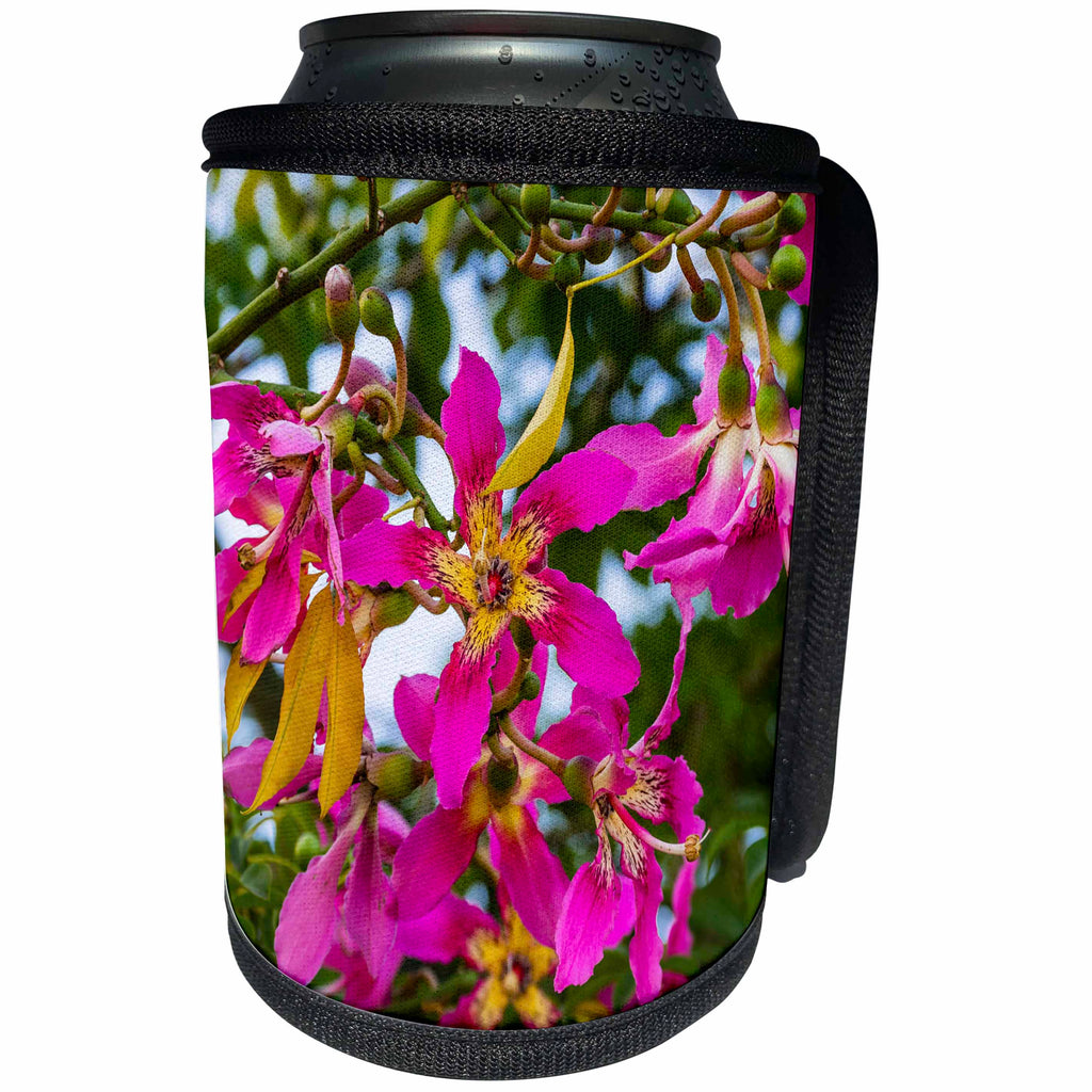 3dRose Danita Delimont - Flowers - Pink Yellow Blossoms Flowers Sea of Galilee Israel. - Can Cooler Bottle Wrap (cc_276862)