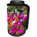3dRose Danita Delimont - Flowers - Pink Yellow Blossoms Flowers Sea of Galilee Israel. - Can Cooler Bottle Wrap (cc_276862)