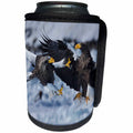 3dRose Danita Delimont - Hawks - Stellers sea eagles, Hokkaido, Japan - Can Cooler Bottle Wrap (cc_276864)