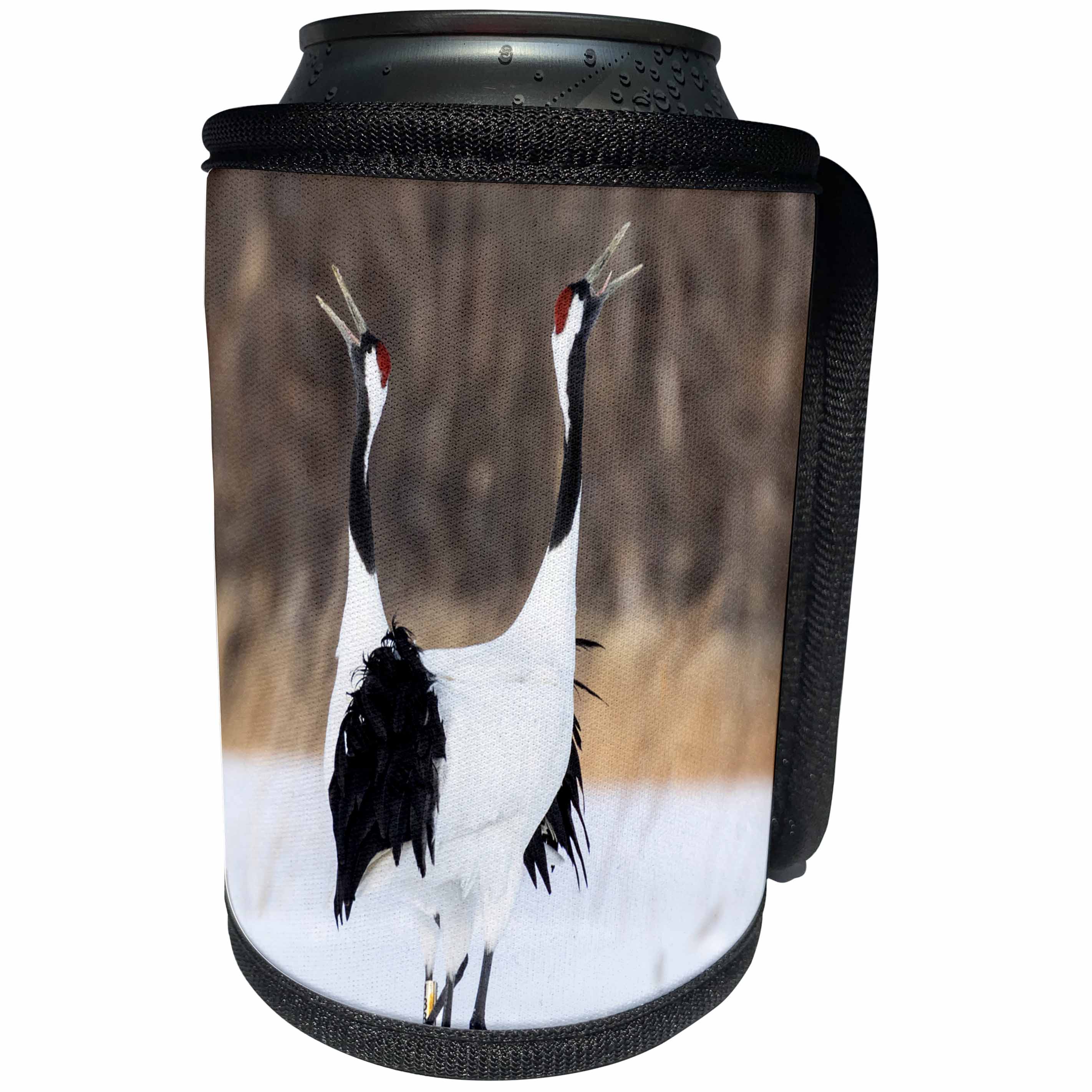 3dRose Danita Delimont - Birds - Japan, Hokkaido, Japanese Red Crowned Cranes - Can Cooler Bottle Wrap (cc_276874)