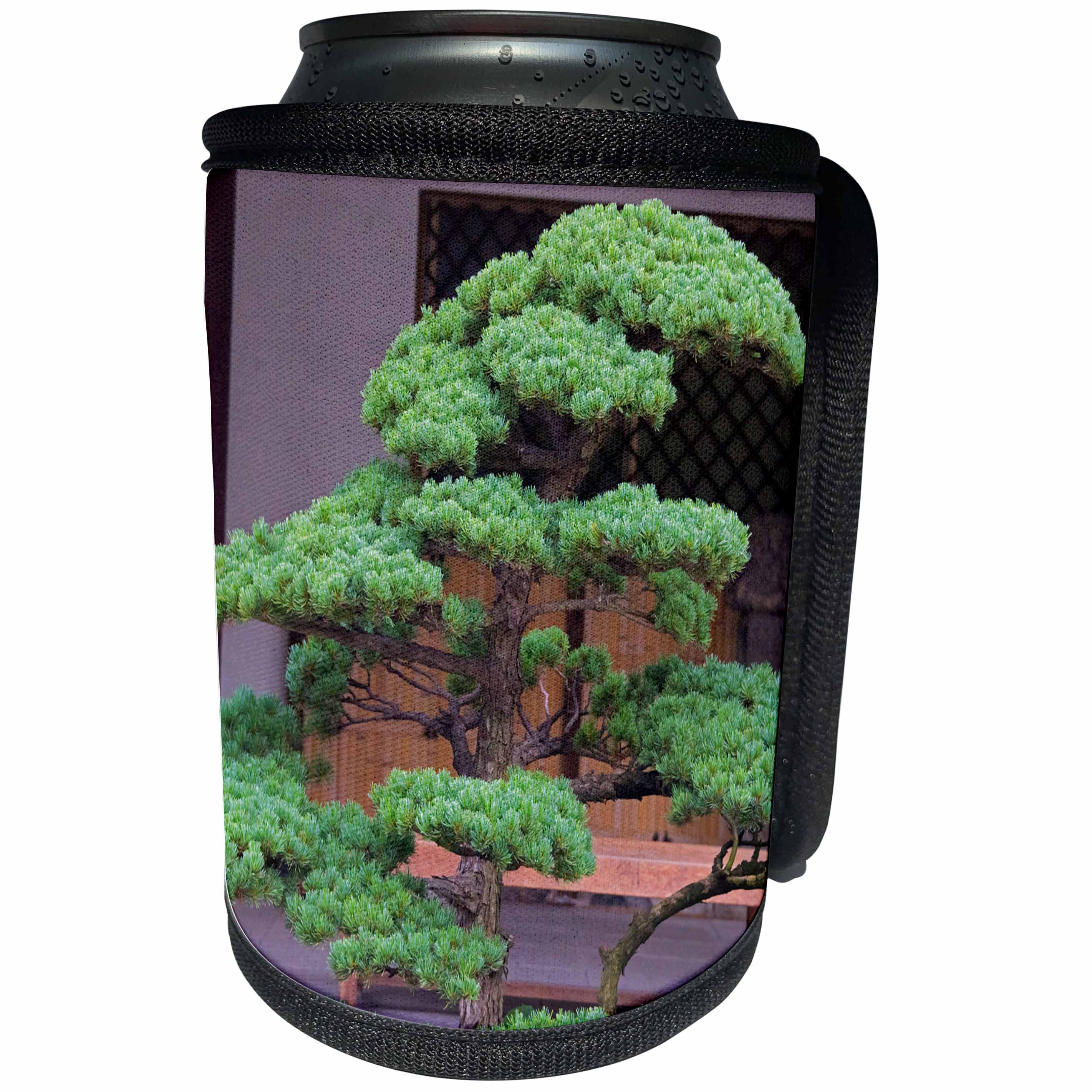 3dRose Danita Delimont - Temples - Well trimmed tree in Tochoji Temple, Fukuoka, Japan - Can Cooler Bottle Wrap (cc_276883)