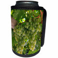 3dRose Danita Delimont - Vineyards - Turkey, Cappadocia, Uchisar, grapes for the making Uzum pekmezi. - Can Cooler Bottle Wrap (cc_277005)