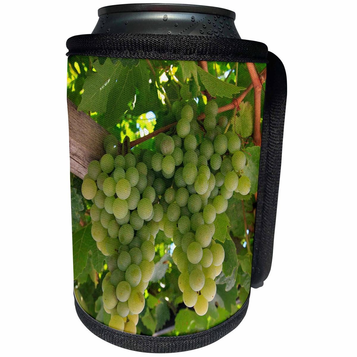 3dRose Danita Delimont - Vineyards - Turkey, Cappadocia, Uchisar, grapes for the making Uzum pekmezi. - Can Cooler Bottle Wrap (cc_277005)