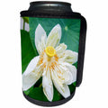 3dRose Danita Delimont - Flowers - Lotus Blossom Flower, Vietnam, Asia - Can Cooler Bottle Wrap (cc_277044)