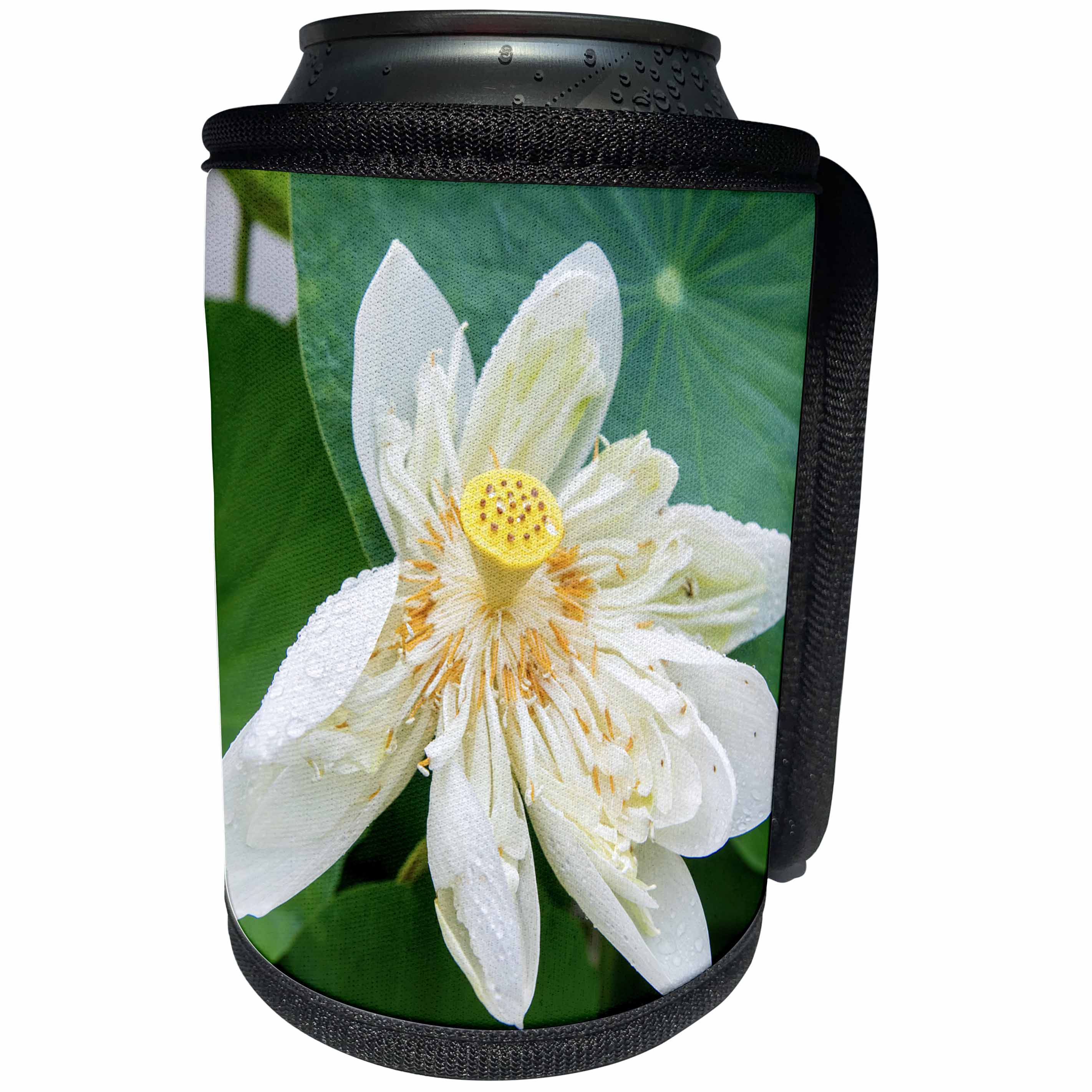 3dRose Danita Delimont - Flowers - Lotus Blossom Flower, Vietnam, Asia - Can Cooler Bottle Wrap (cc_277044)