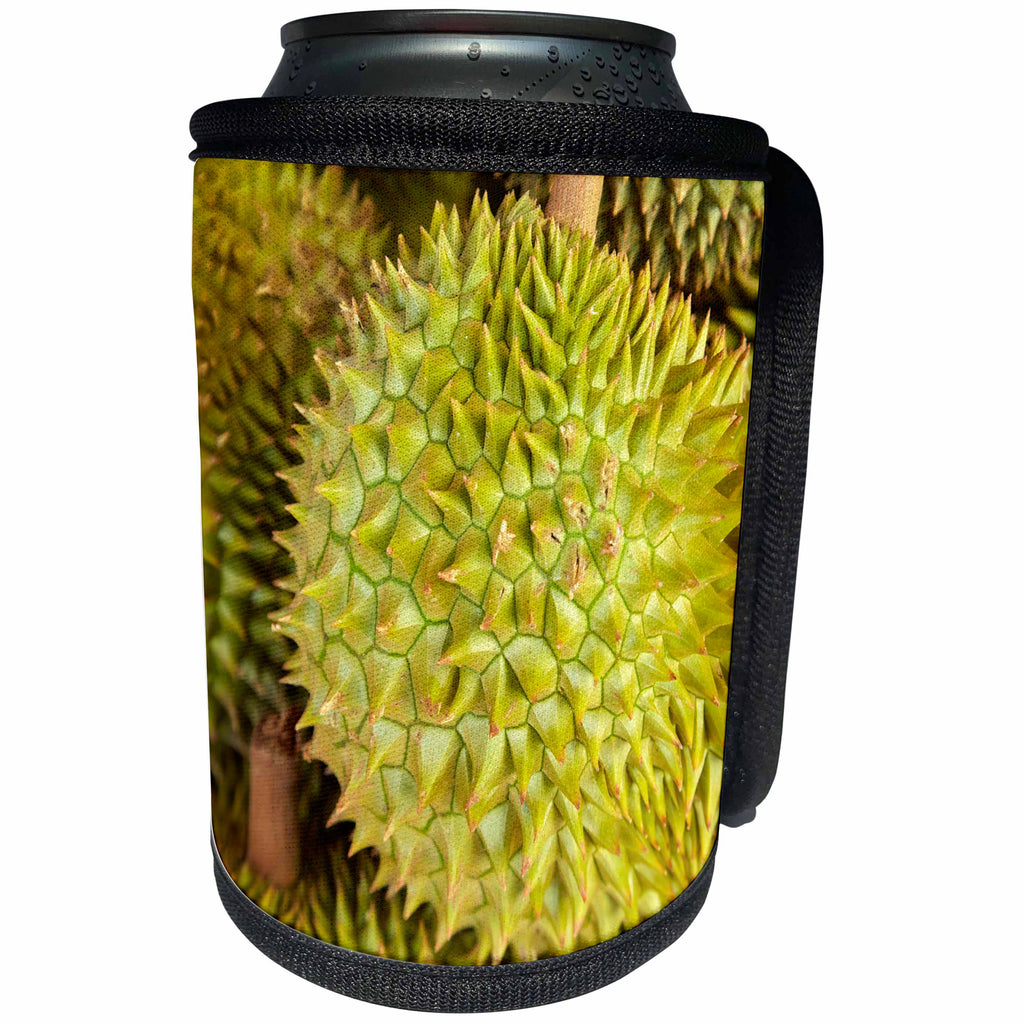 3dRose Danita Delimont - Food - Durians, Can Duoc Market, Long An Province, Mekong Delta, Vietnam - Can Cooler Bottle Wrap (cc_277050)